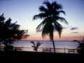 florida.jpg (42856 bytes)