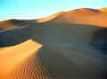 sahara.jpg (23152 bytes)